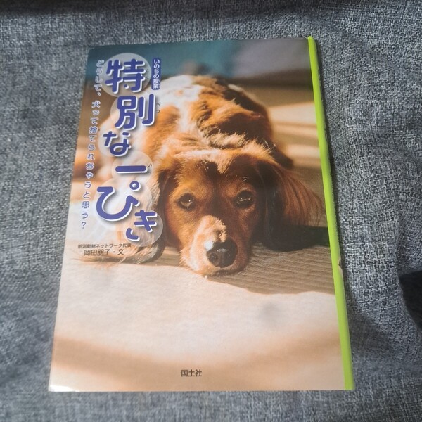 特別な一ぴき いのちの授業 どうして、犬って捨てられちゃうと思う?