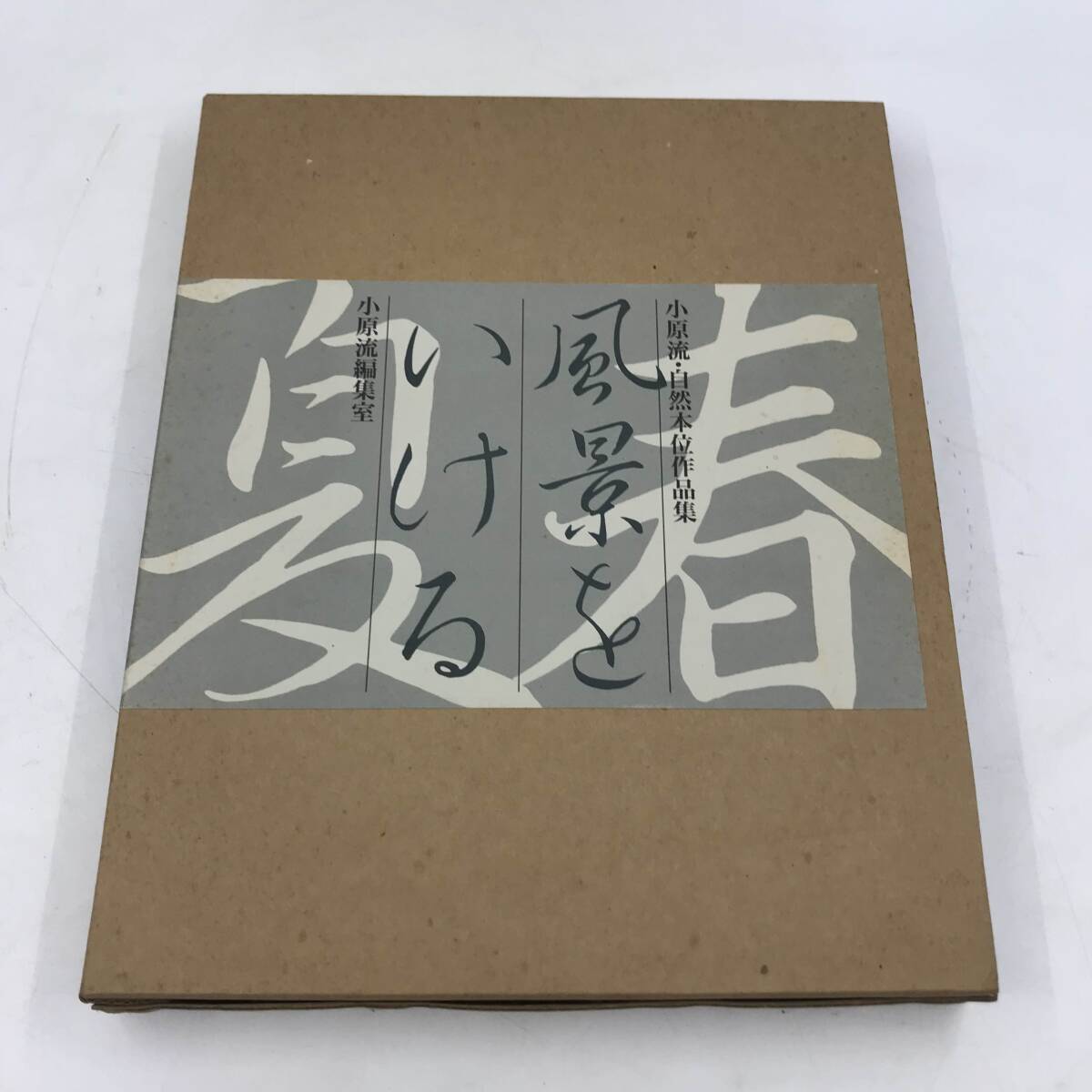 2025年最新】Yahoo!オークション -小原流(本、雑誌)の中古品 2025年最新】Yahoo!オークション -小原流(本、雑誌)の中古品