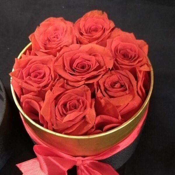 「密かな愛」7つの薔薇 赤、真紅のプリザーブドフラワー 筒状のボックス ギフト