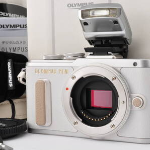 OLYMPUS PEN E-PL8 16.1 MP Digital Camera 元箱付 #FG04
