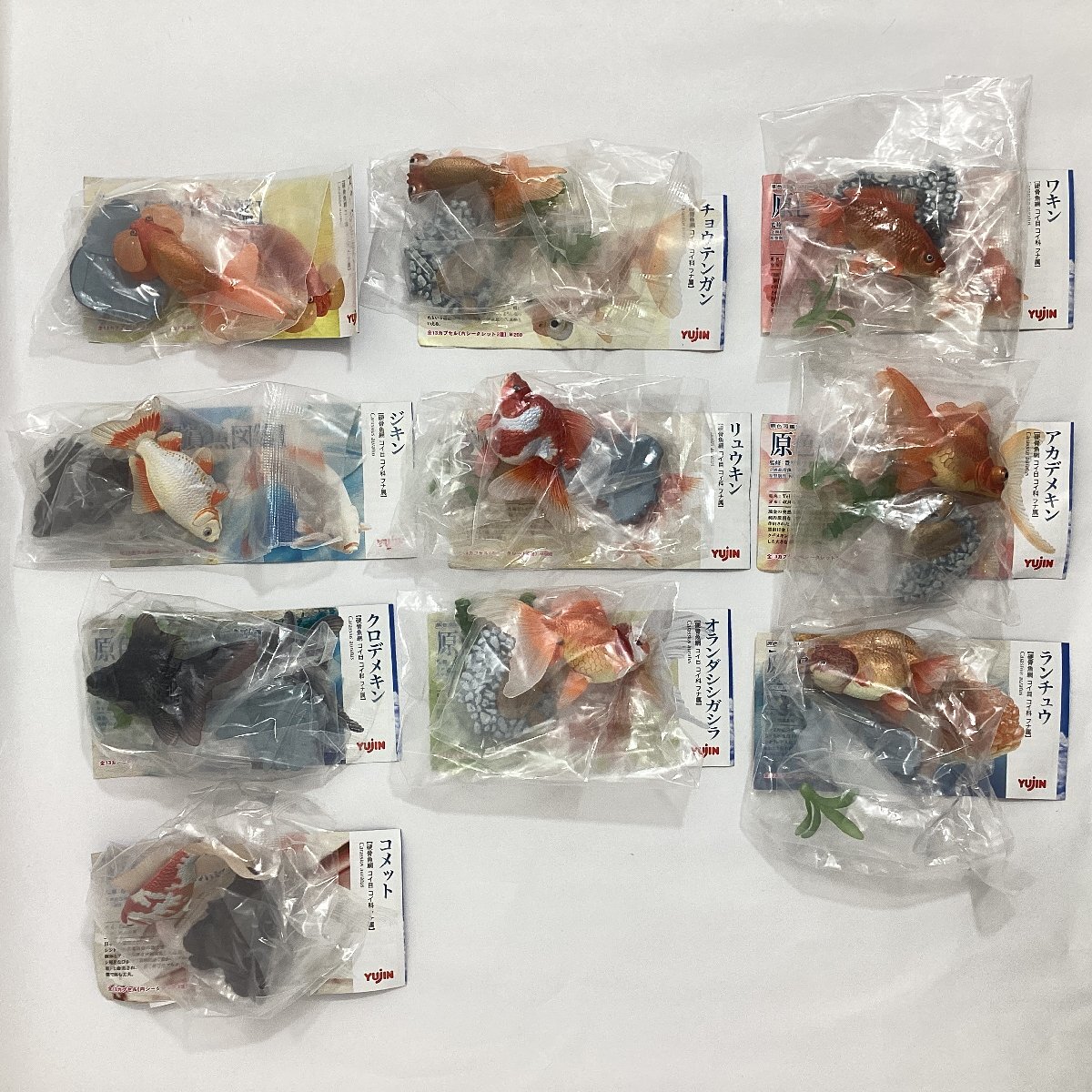 Amazon.co.jp: 原色観賞魚図鑑Ⅰ バツ印なし9種セット