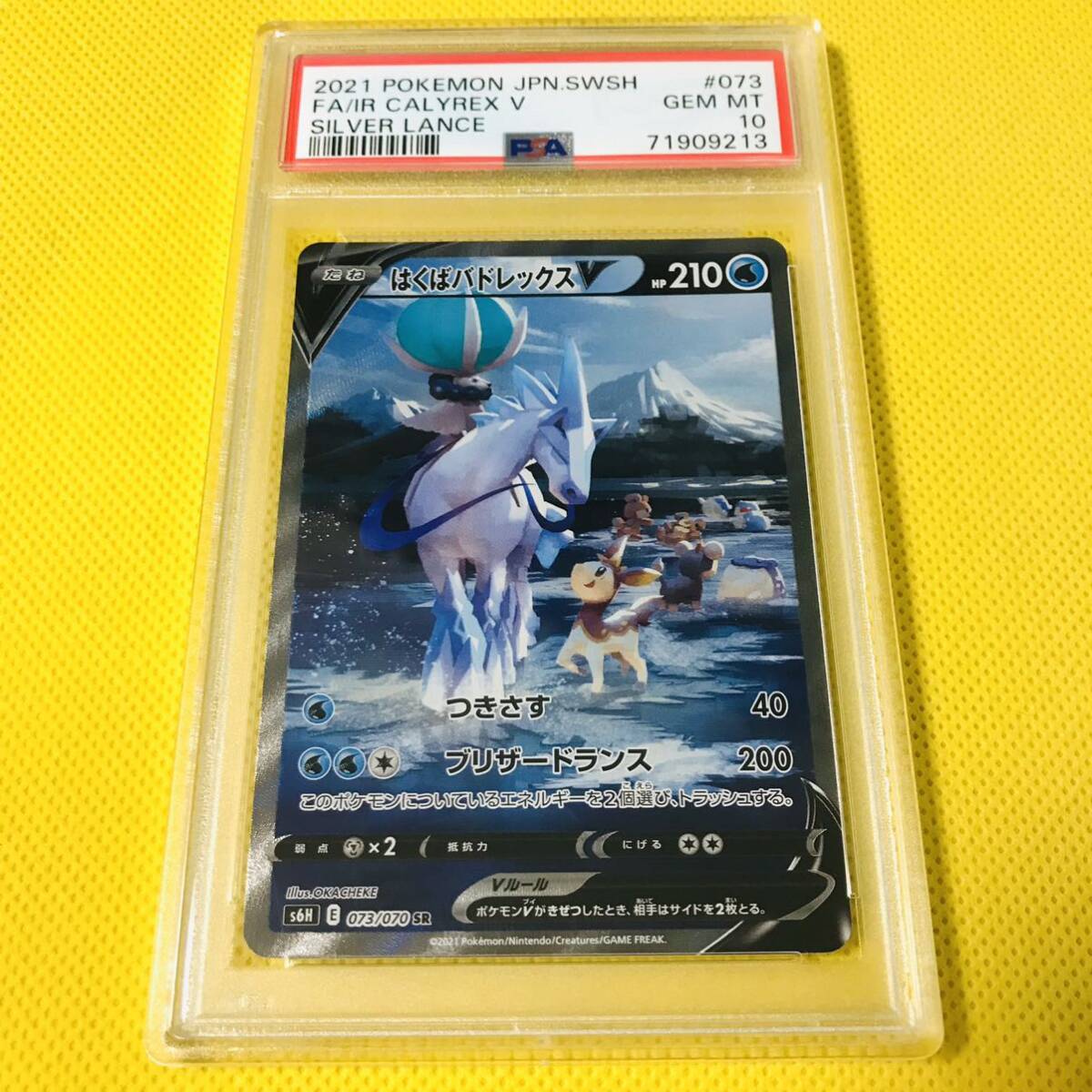 ラブトロスV CSR PSA10 ポケモンカード|Yahoo!フリマ(旧PayPay ラブトロスV CSR PSA10 ポケモンカード|Yahoo!フリマ(旧PayPay