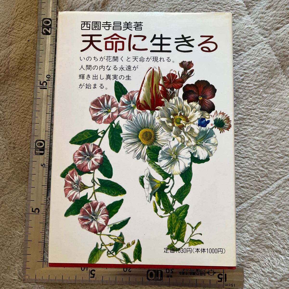 2025年最新】Yahoo!オークション -五井(本、雑誌)の中古品・新品 2025年最新】Yahoo!オークション -五井(本、雑誌)の中古品・新品