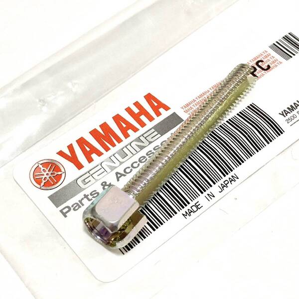 GT80 純正 ブレーキケーブルボルト 〇 ● ☆ ミニトレ GT-1 DT125 ブレーキワイヤーボルト 新品 ヤマハ YAMAHA