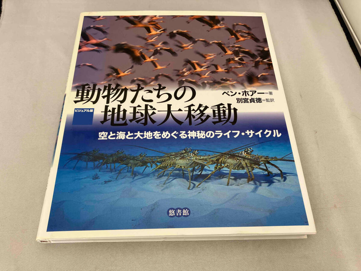 2025年最新】Yahoo!オークション -動物たちの地球の中古品・新品 2025年最新】Yahoo!オークション -動物たちの地球の中古品・新品