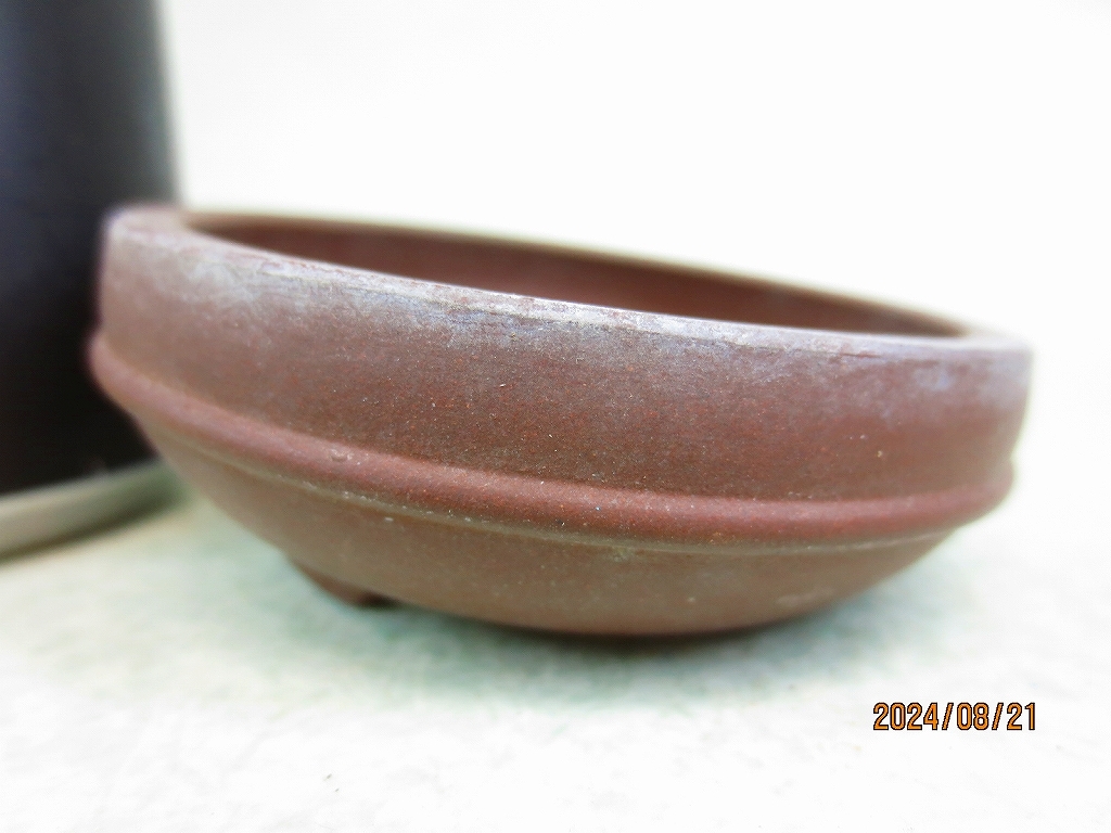 2025年最新】Yahoo!オークション -中国宜興 鉢の中古品・新品