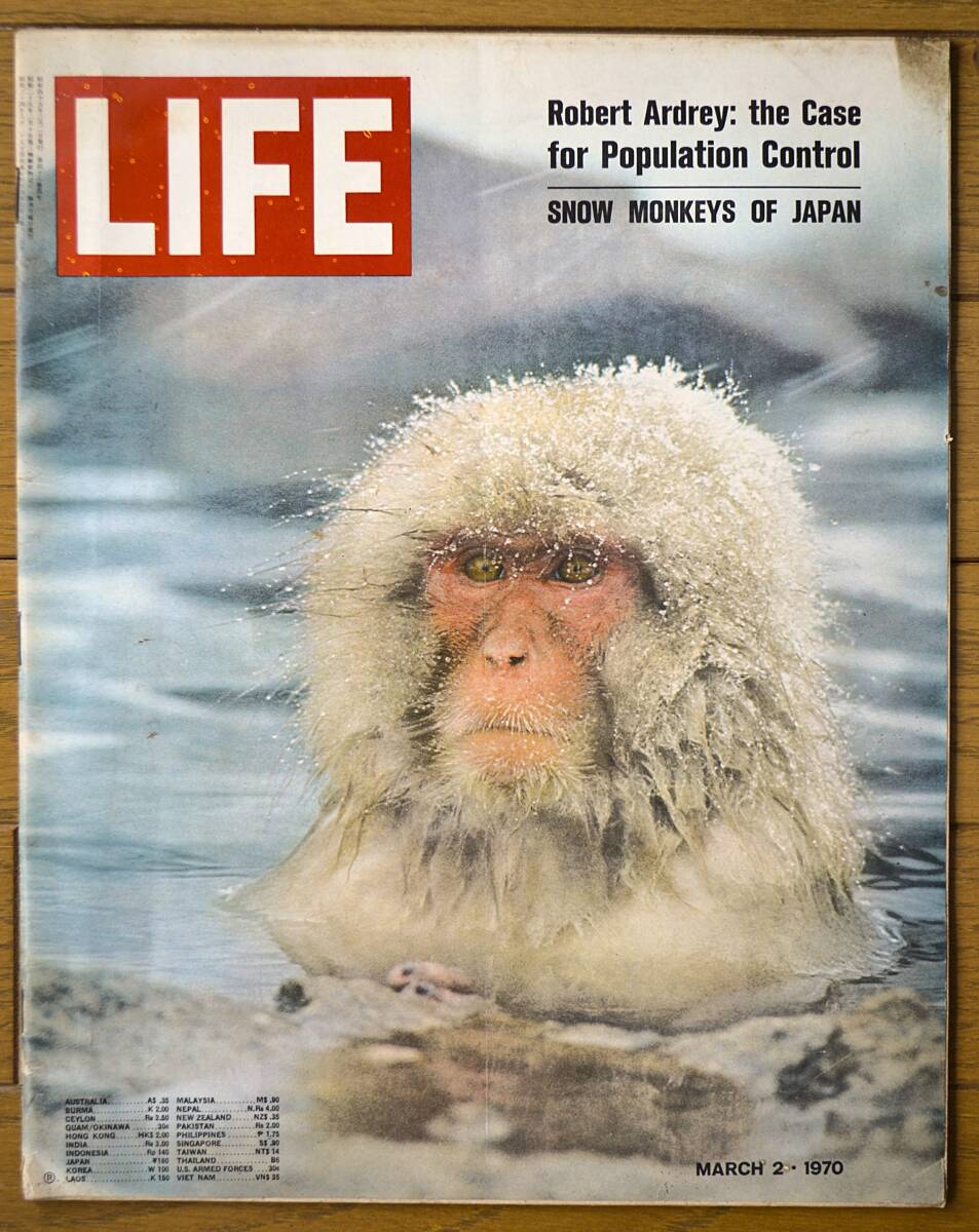 2025年最新】Yahoo!オークション -life誌 ライフ(雑誌)の中古品 2025年最新】Yahoo!オークション -life誌 ライフ(雑誌)の中古品