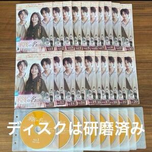 家族の名において DVD 全20巻 全巻セット レンタル落ち 送料無料
