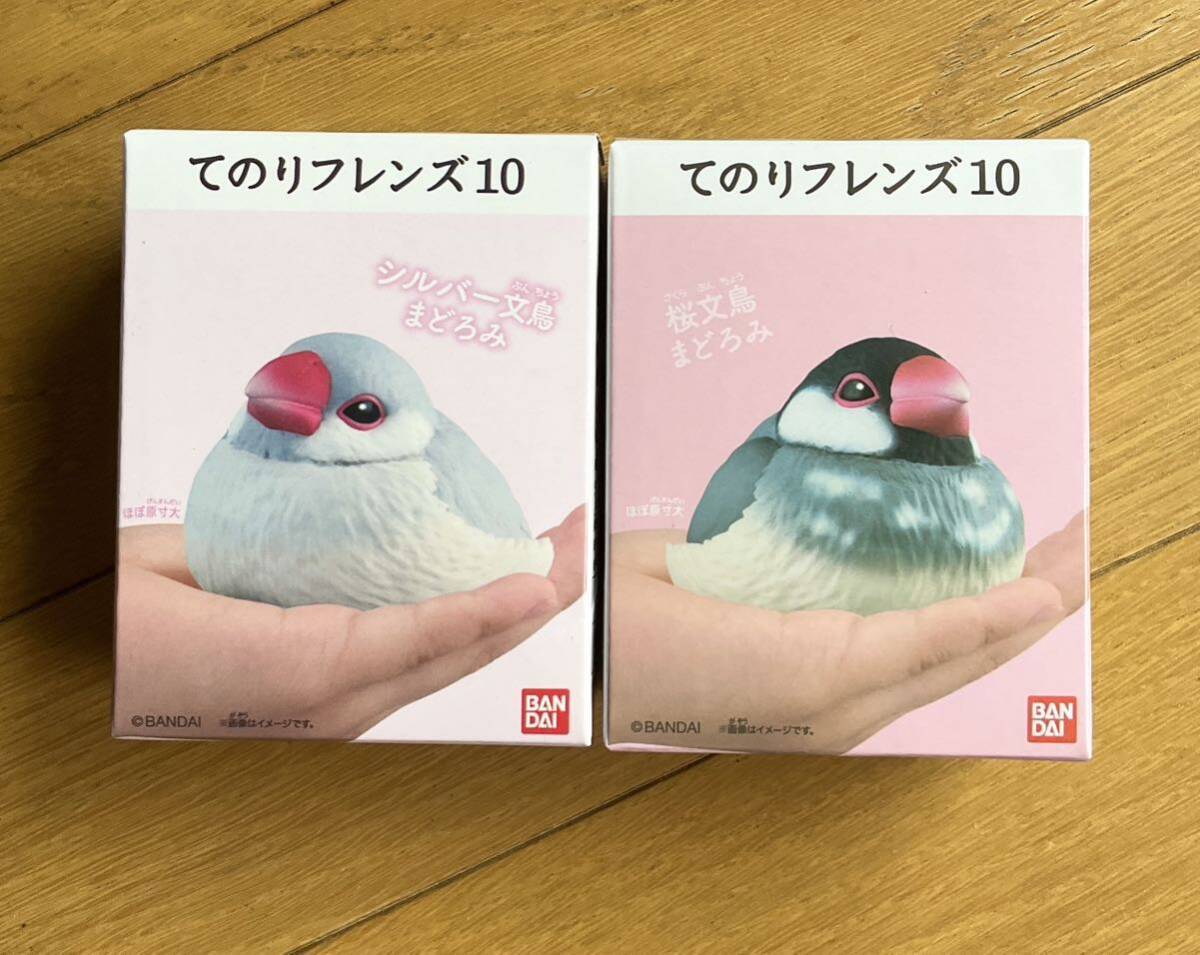 文鳥出品 2025年最新】並文鳥の人気アイテム - メルカリ
