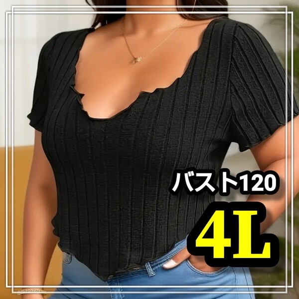 大きいサイズ レディース カットソー 半袖 黒 Tシャツ トップス リブ ニット カーディガン セクシー オルチャン 無地 XL 3L 4L ぽっちゃり