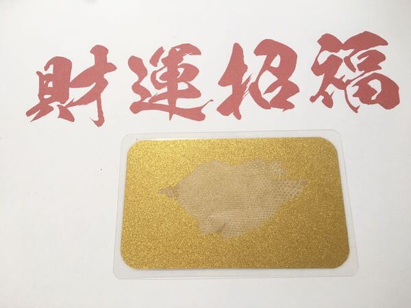 開運☆白蛇 脱皮 抜け殻 御守り 金運 No.56