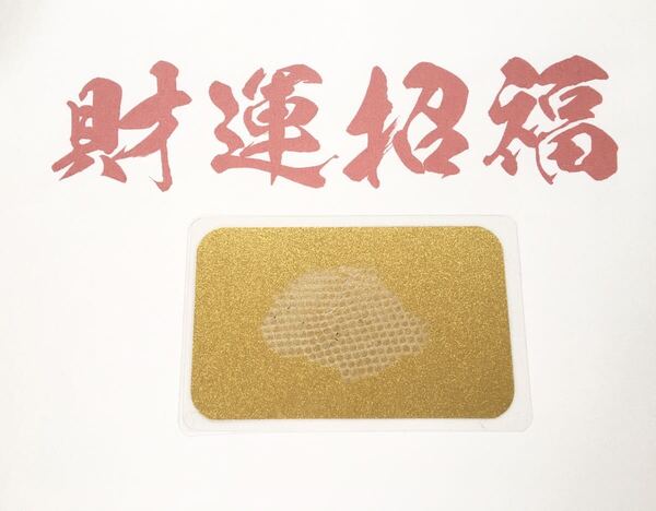 開運☆白蛇 抜け殻 御守り 金運 No.6