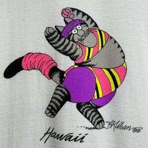 80s クレイジーシャツ クリバンキャット エアロビTシャツ M ハワイ