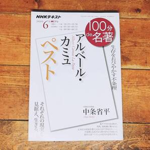 絶版!! NHK 100分de名著 「アルベール・カミュ ペスト」 中条省平名講義!! 検:異邦人/サルトル/カフカ/ドストエフスキー/プルースト