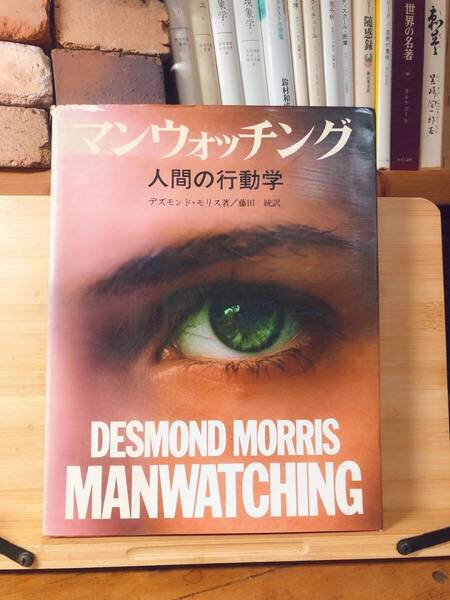 絶版!!定価5035円!! マンウォッチング 人間の行動学 デズモンド・モリス 検:裸のサル/仕草・行動の意味/文化人類学/ジェスチャー/文化/民族