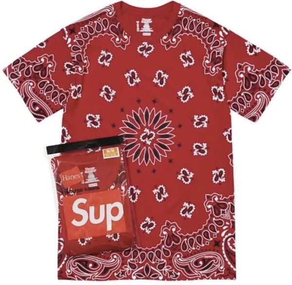 Supreme Hanes Bandana Tagless Tee Tシャツ 赤 バンダナ シュプリーム
