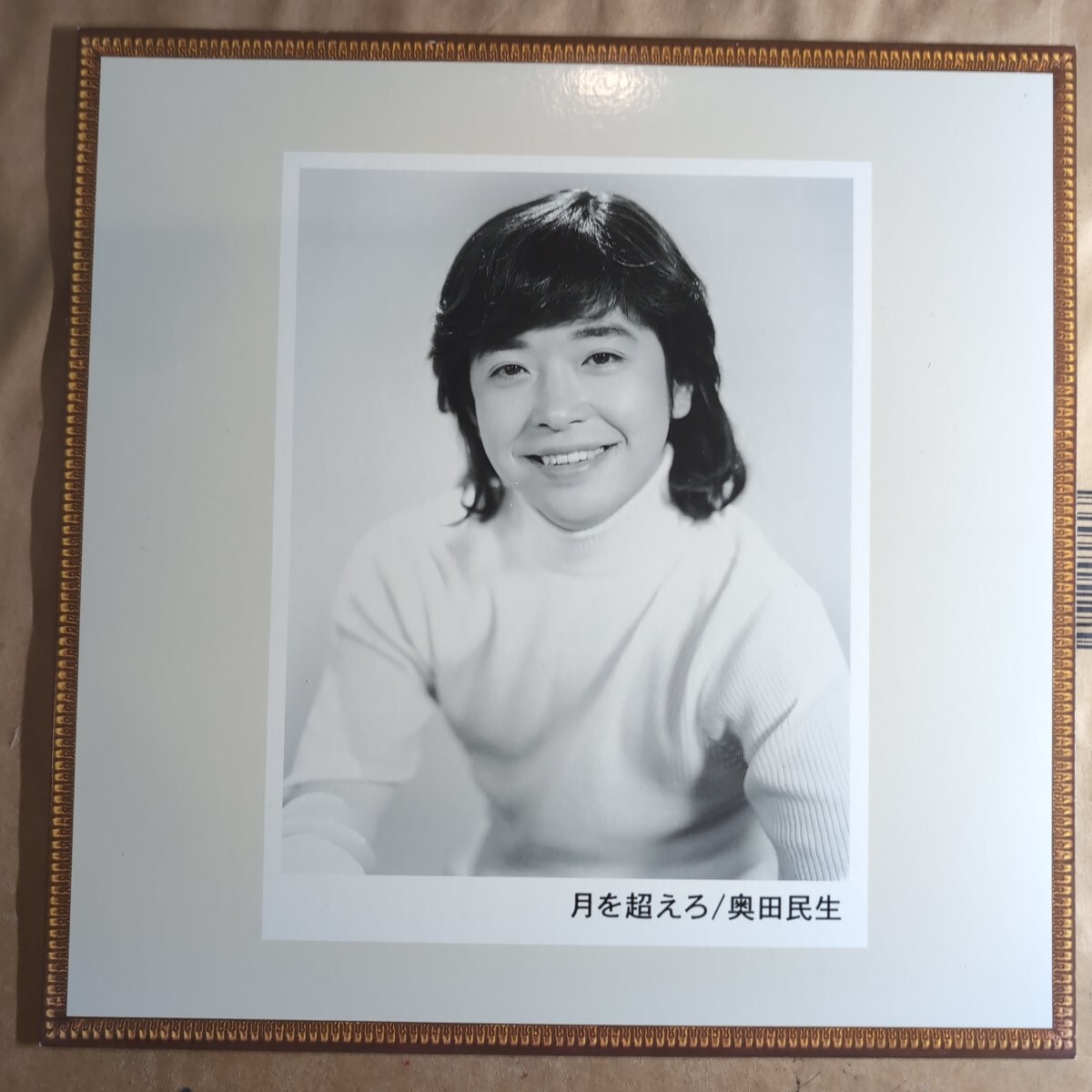 2025年最新】Yahoo!オークション -奥田 民生(レコード)の中古品