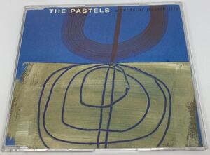 The Pastels worlds of possibility CD