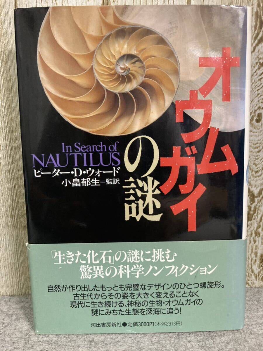 【中古】 ひきさかれた大陸/偕成社/小畠郁生 ひきさかれた大陸 偕成社文庫3118 中古本・書籍 | ブックオフ