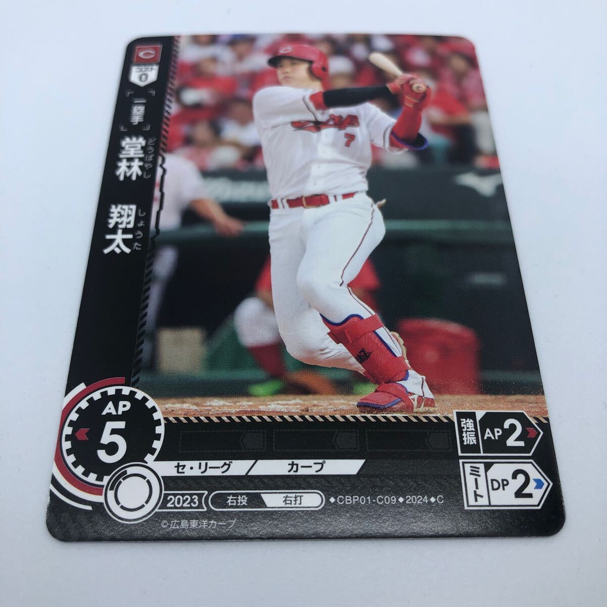 Yahoo!オークション - ドリームオーダー No.CPB03-C02 SSP 「堂