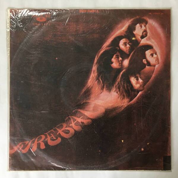 TAIWAN DEEP PURPLE FIREBALL 台湾盤