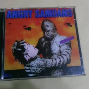 Angry Samoans - Back From SamoaCircle Jerks - Gig☆Zero Boys Black Flag Government Issue Reagan Youth FANG MDC Fear Adolescents