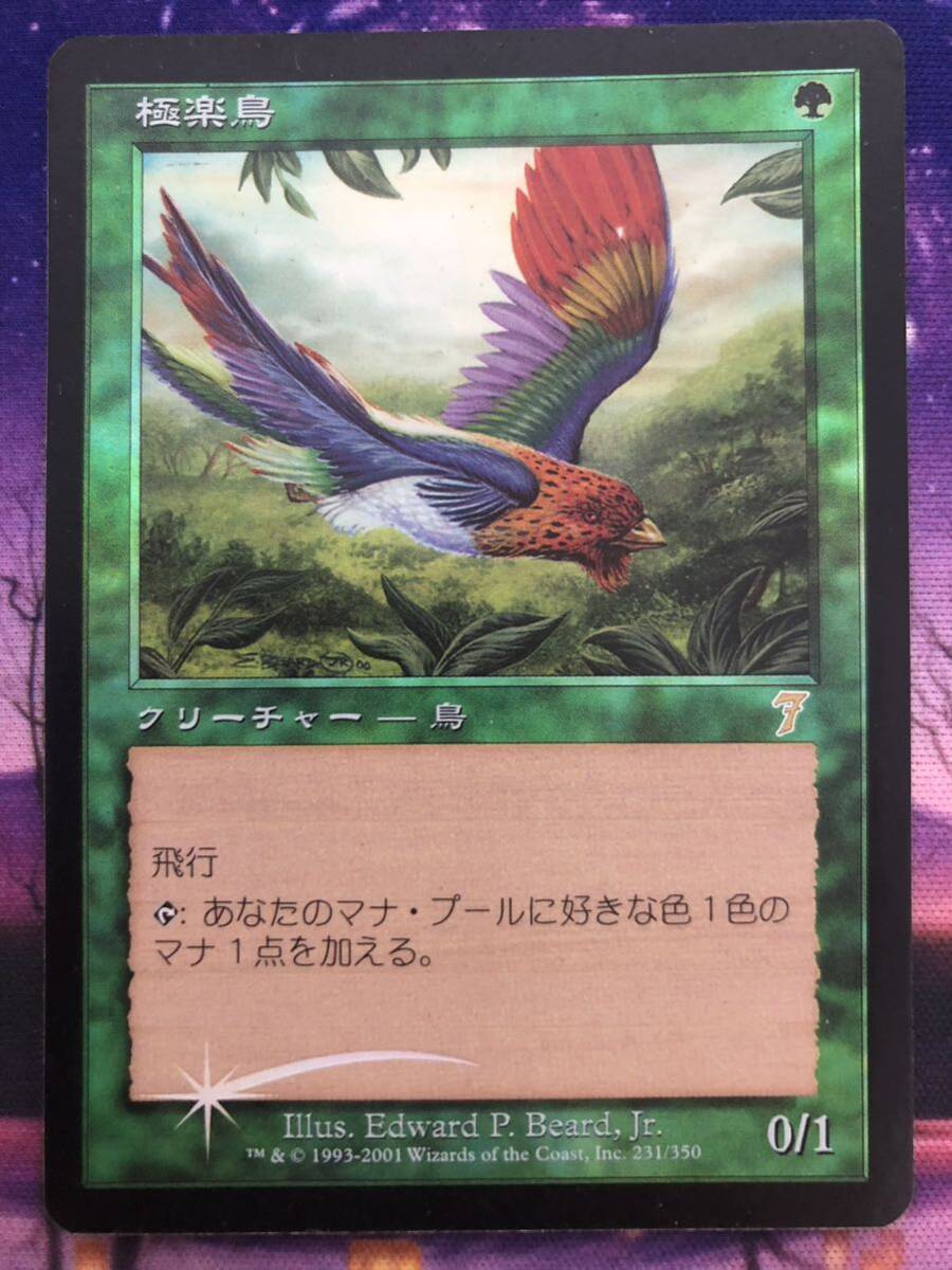 2025年最新】Yahoo!オークション -極楽鳥 mtgの中古品・新品・未