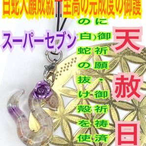 巳 ヘビ 十二干支 全運気を好転 チャーム メモリーオイル チャクラ 白蛇の抜け殻 脱け殻 スーパーセブン 白蛇のお守り【天赦日ご祈祷】24