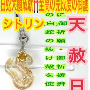 金運 メモリーオイル 白蛇の抜け殻 脱殻 チャーム 第3チャクラ シトリン 商売繁盛 財運 巳 十二干支 白蛇のお守り【天赦日ご祈祷済み】14