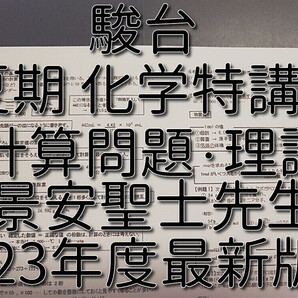 駿台 23年度 計算問題・理論化学対策 景安先生 夏期 化学特講Ⅰ 講義プリント集 鉄緑会 河合塾 東進 SEG