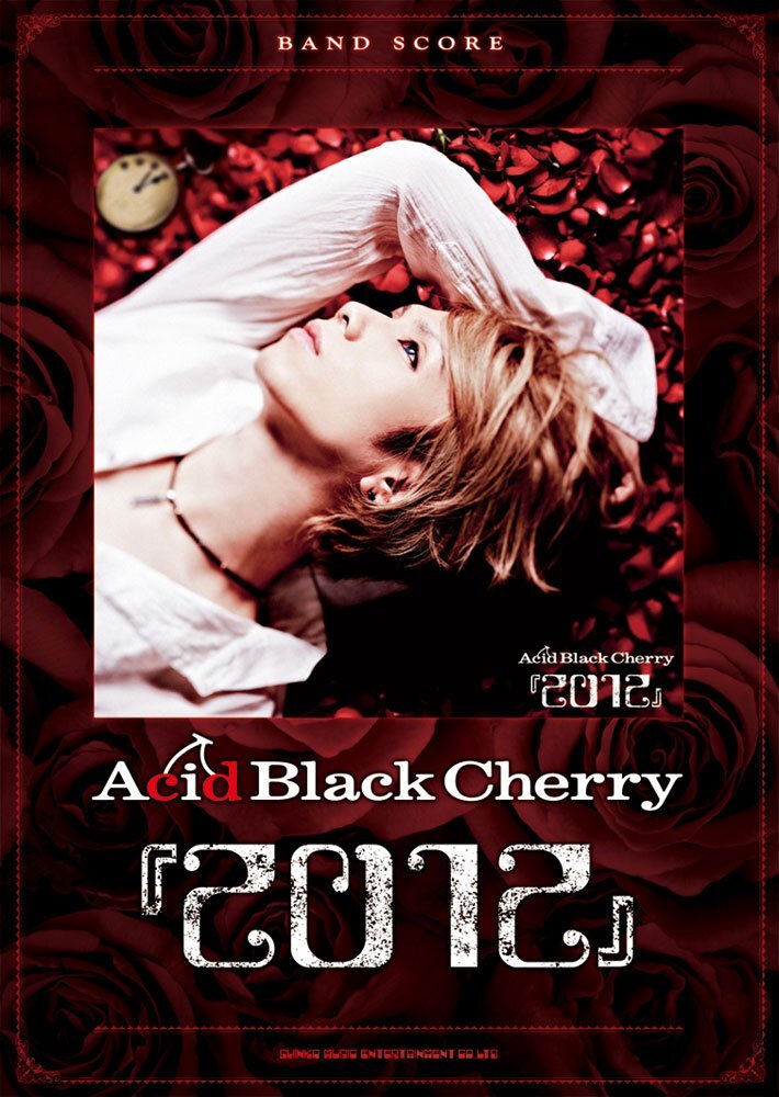 大型セールや時期 2025年最新】Yahoo!オークション -acid cherry(本、雑誌 black ミュージシャン