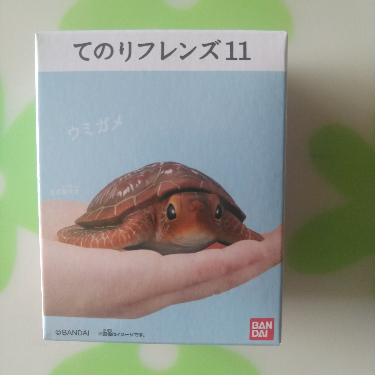 2025年最新】Yahoo!オークション -ウミガメ フィギュアの中古品 2025年最新】Yahoo!オークション -ウミガメ フィギュアの中古品