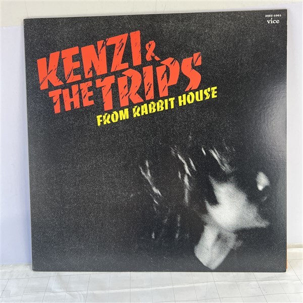 2025年最新】Yahoo!オークション -kenzi trips(レコード)の中古