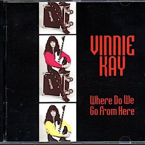 Vinnie Kay「Where Do We Go From Here」