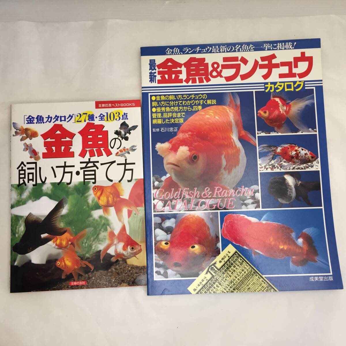 Yahoo!オークション -「らんちゅう」(本、雑誌) の落札相場 Yahoo!オークション -「らんちゅう」(本、雑誌) の落札相場