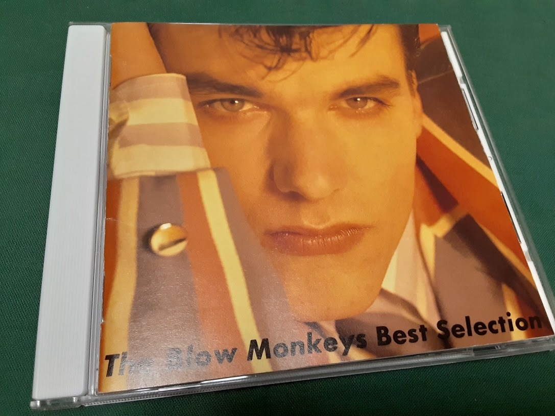 Yahoo!オークション -「blow monkeys」(ロック、ポップス一般