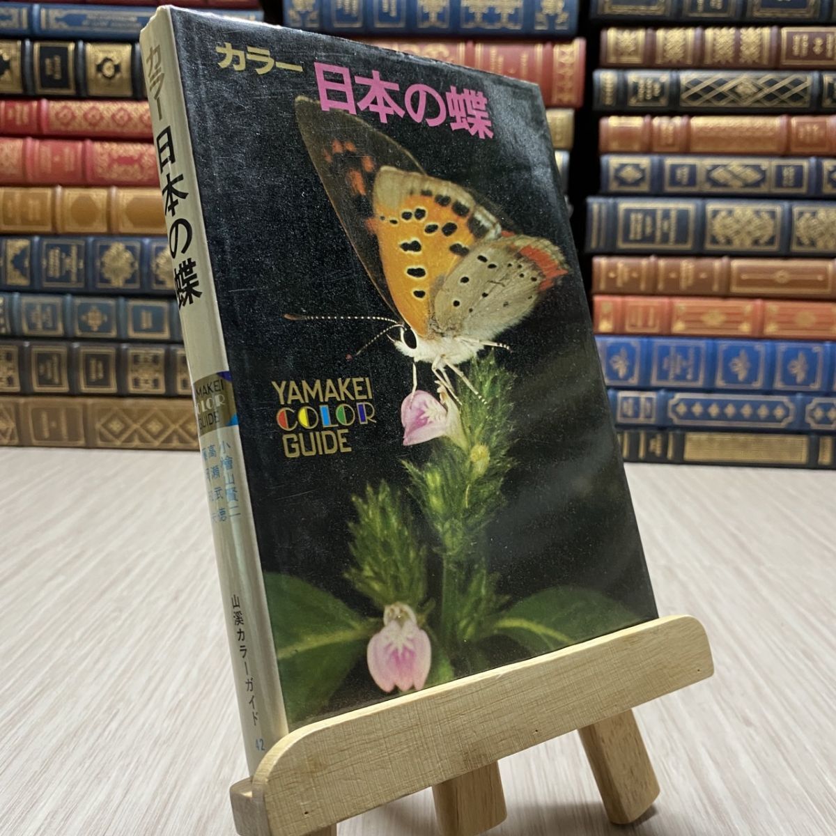 2025年最新】Yahoo!オークション -蝶(昆虫)の中古品・新品・古本一覧 2025年最新】Yahoo!オークション -蝶(昆虫)の中古品・新品・古本一覧