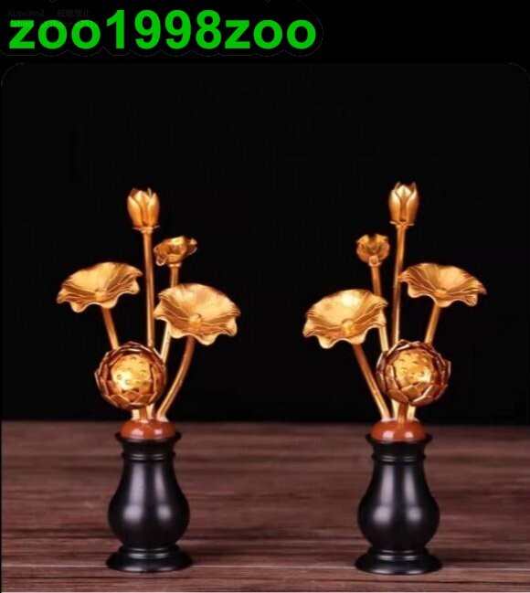 2025年最新】Yahoo!オークション -常花の中古品・新品・未使用品一覧 2025年最新】Yahoo!オークション -常花の中古品・新品・未使用品一覧