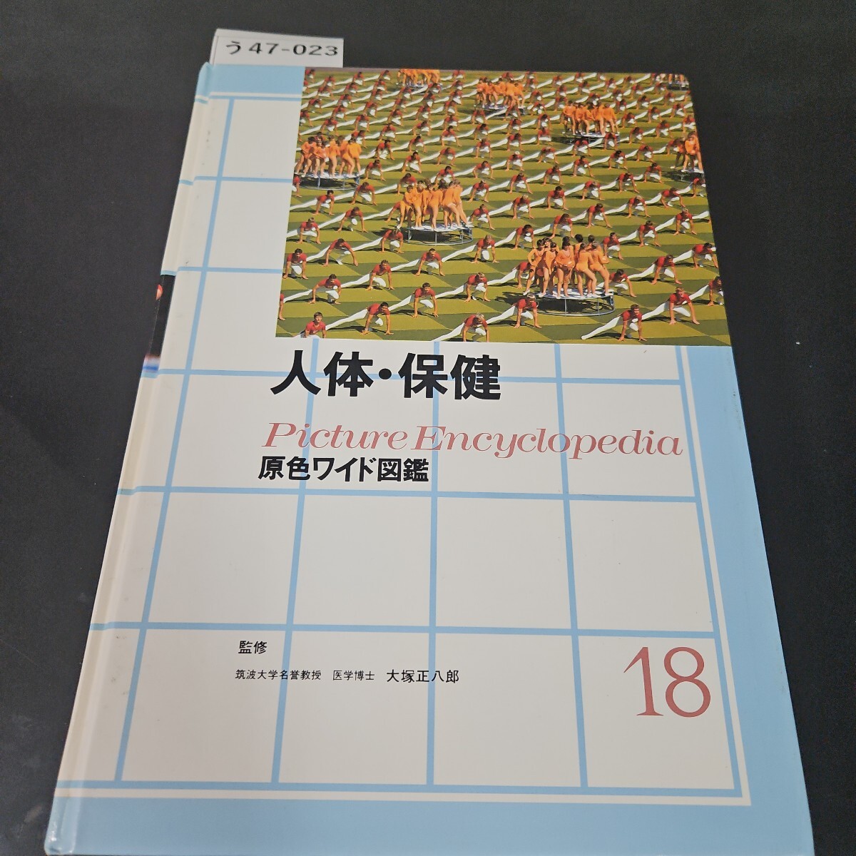 2025年最新】Yahoo!オークション -原色ワイド図鑑の中古品・新品