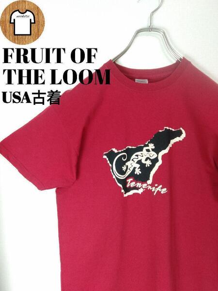 FRUIT OF THE LOOM 海外古着 Tシャツ M アメカジ A85 フルーツオブザルーム