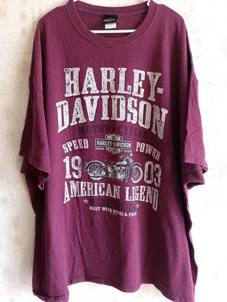 HARLEY DAVIDSONハーレーダビッドソンパープル3L半袖メンズTシャツ