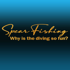 ●Sportsmind風　Spear Fishing カッティングステッカー Why is the diving so fun ?どうしてダイビングはそんなに楽しいの？　NO631