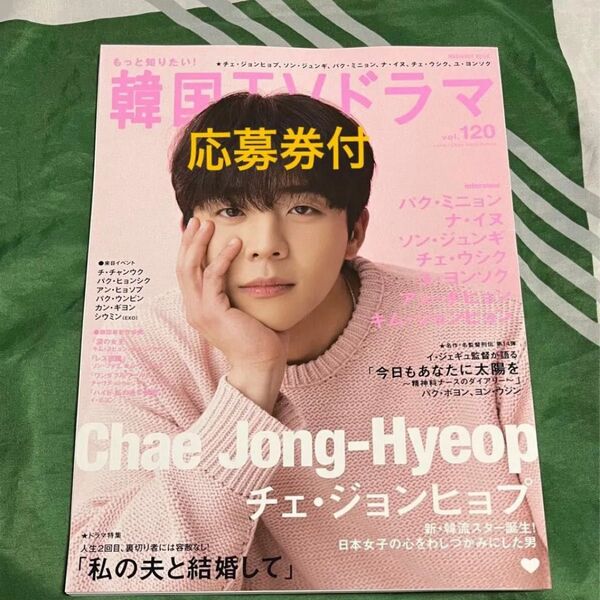 もっと知りたい!韓国TVドラマ チェ・ジョンヒョプ