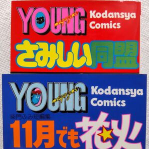 柴門ふみ 11月でも花火、さみしい同盟