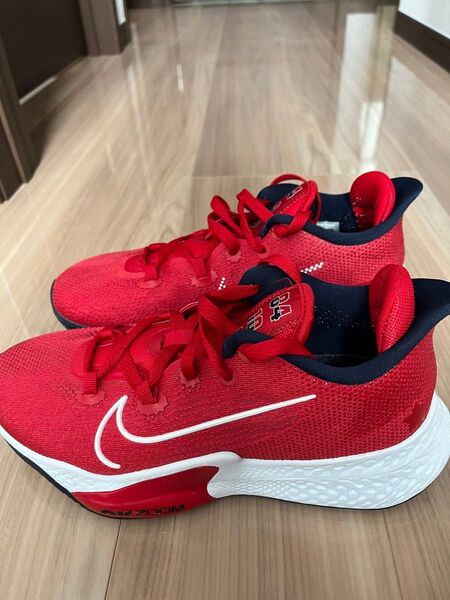 Nike AIR ZOOM BB NXT 25