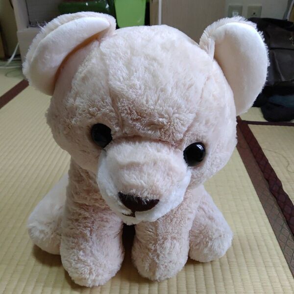 ぬいぐるみ BIG