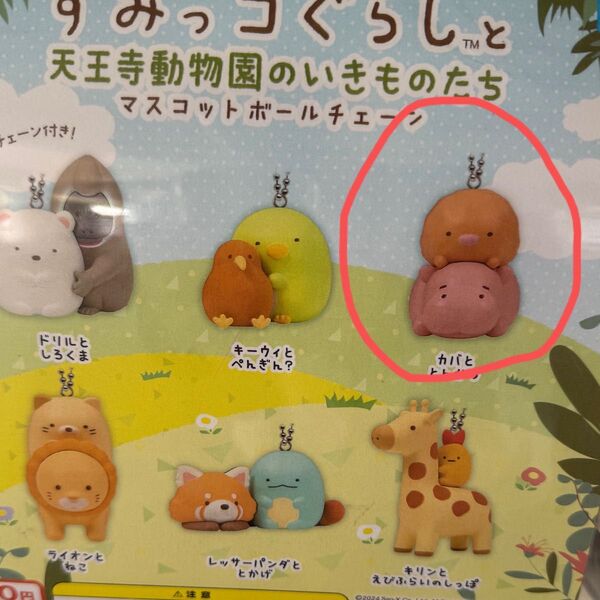 天王寺動物園限定 新品未開封 すみっコぐらし 天王寺動物園のいきものたち ガチャ マスコット フィギュア