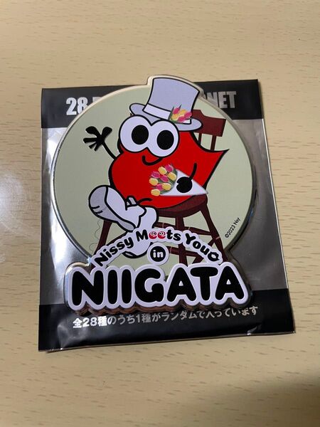 Nissy マグネッピー新潟