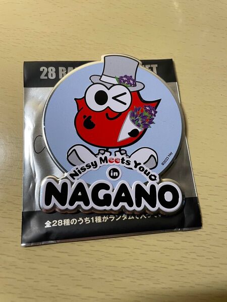 Nissy マグネッピー 長野