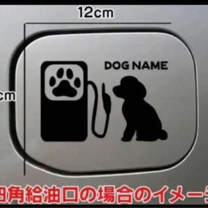 【送料無料】トイプードル トイプー 給油口 ステッカー リアガラス 車 犬